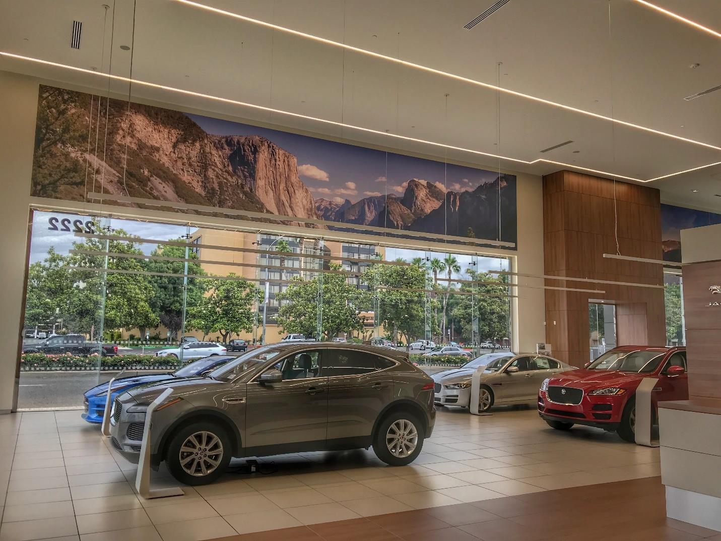 Auto showroom with full glass wall and vehicles displayed inside